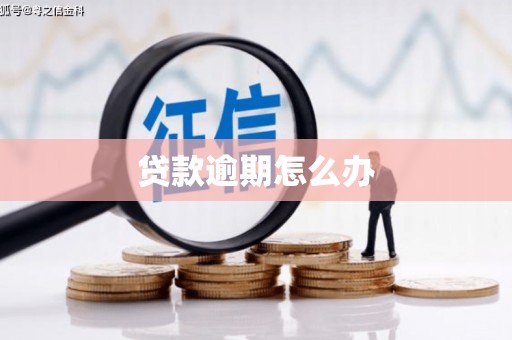 巴塘贷款逾期怎么办