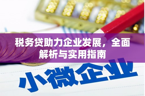 巴塘税务贷助力企业发展，全面解析与实用指南