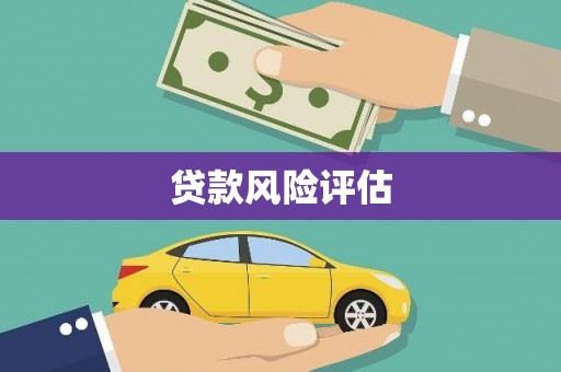 巴塘贷款风险评估