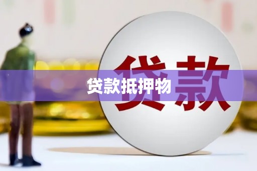 巴塘贷款抵押物