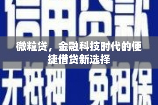 巴塘微粒贷，金融科技时代的便捷借贷新选择