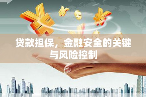 巴塘贷款担保，金融安全的关键与风险控制