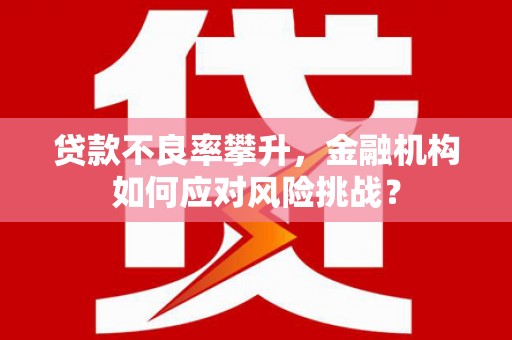 巴塘贷款不良率攀升，金融机构如何应对风险挑战？