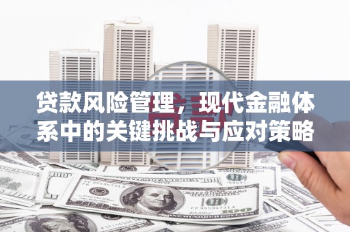巴塘贷款风险管理，现代金融体系中的关键挑战与应对策略