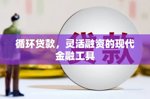 巴塘循环贷款，灵活融资的现代金融工具
