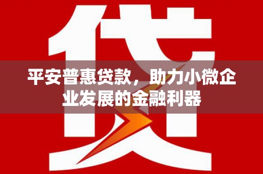 巴塘平安普惠贷款，助力小微企业发展的金融利器