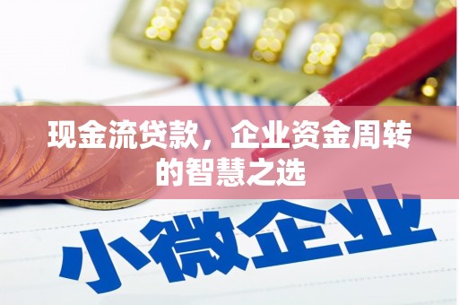 巴塘现金流贷款，企业资金周转的智慧之选