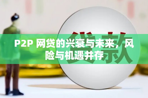 巴塘P2P 网贷的兴衰与未来，风险与机遇并存