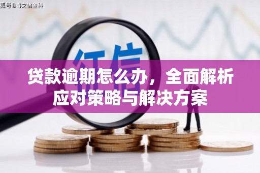 巴塘贷款逾期怎么办，全面解析应对策略与解决方案