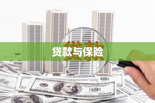 巴塘贷款与保险