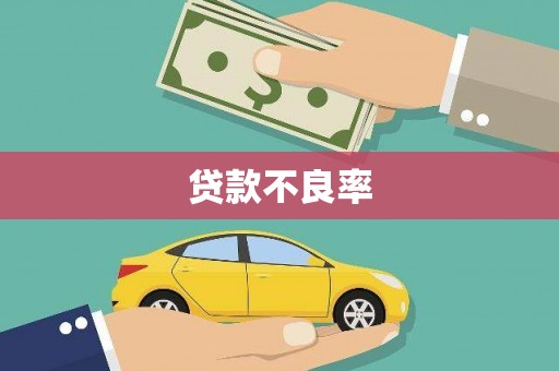 巴塘贷款不良率