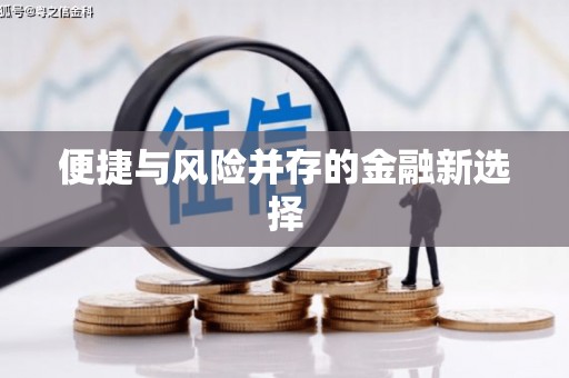 巴塘便捷与风险并存的金融新选择