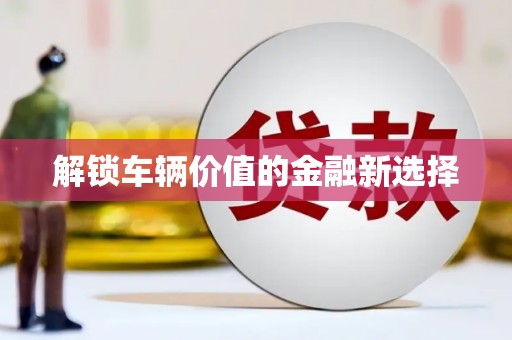 巴塘解锁车辆价值的金融新选择