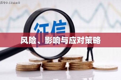 巴塘风险、影响与应对策略