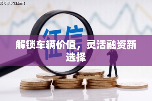 巴塘解锁车辆价值，灵活融资新选择