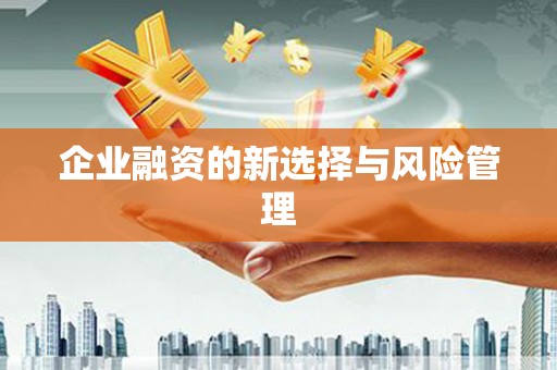 巴塘企业融资的新选择与风险管理