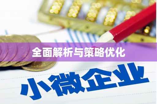 巴塘全面解析与策略优化