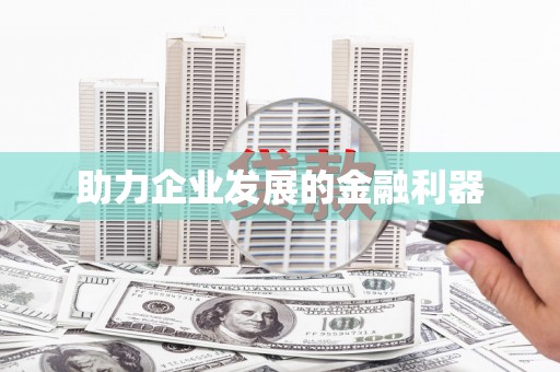 巴塘助力企业发展的金融利器