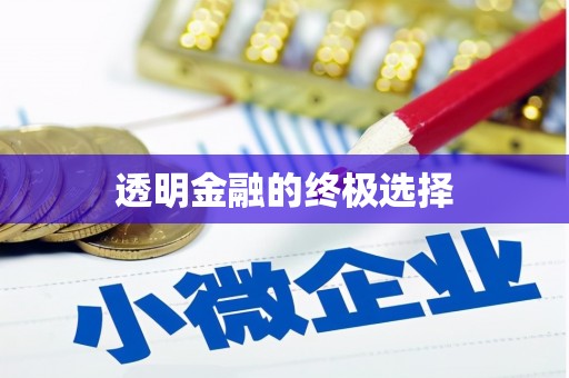 巴塘透明金融的终极选择