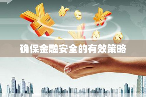 巴塘确保金融安全的有效策略