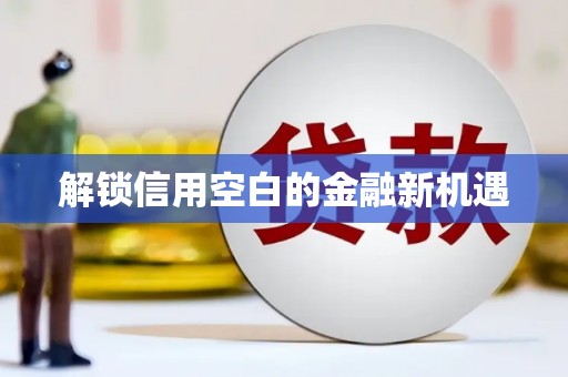 巴塘解锁信用空白的金融新机遇