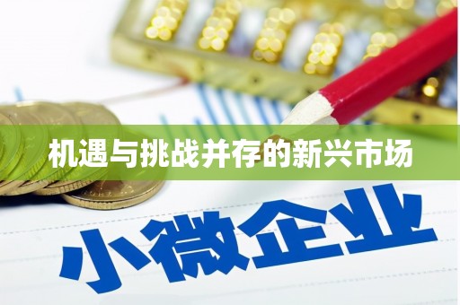 巴塘机遇与挑战并存的新兴市场