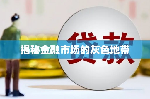巴塘揭秘金融市场的灰色地带