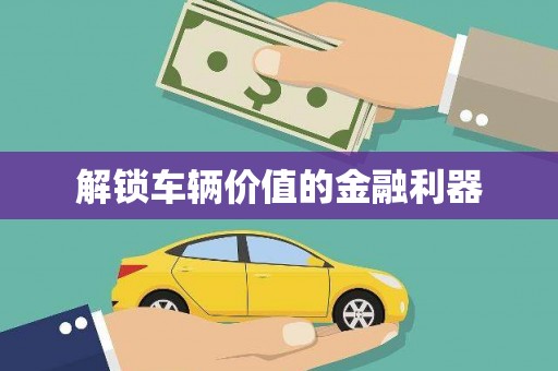 巴塘解锁车辆价值的金融利器