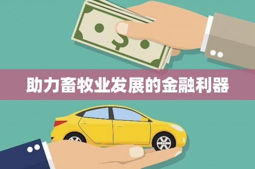 巴塘助力畜牧业发展的金融利器