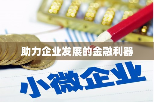 巴塘助力企业发展的金融利器