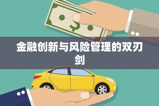 巴塘金融创新与风险管理的双刃剑