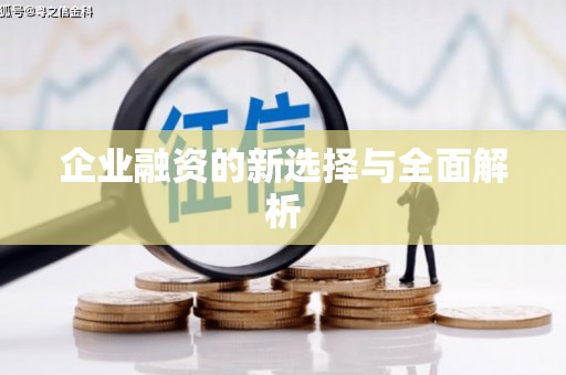 巴塘企业融资的新选择与全面解析