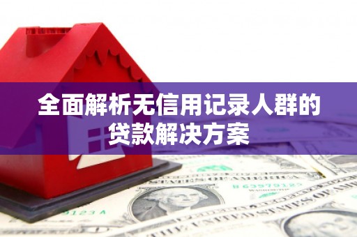 巴塘全面解析无信用记录人群的贷款解决方案