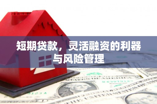 巴塘短期贷款，灵活融资的利器与风险管理