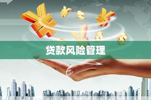 巴塘贷款风险管理