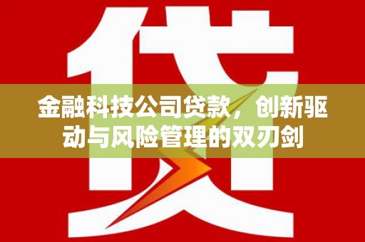 巴塘金融科技公司贷款，创新驱动与风险管理的双刃剑