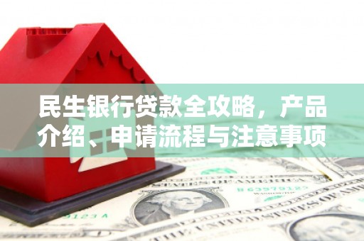 巴塘民生银行贷款全攻略，产品介绍、申请流程与注意事项